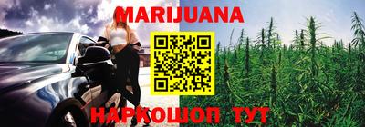 индика Аргун