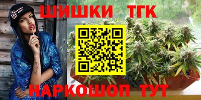 индика Аргун