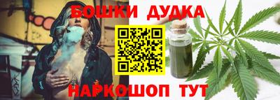 индика Аргун